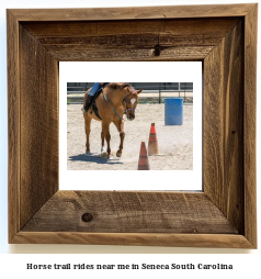 horse trail rides near me in Seneca, South Carolina